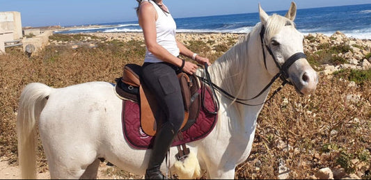 Ghost Torino Classic su Purosangue Arabo