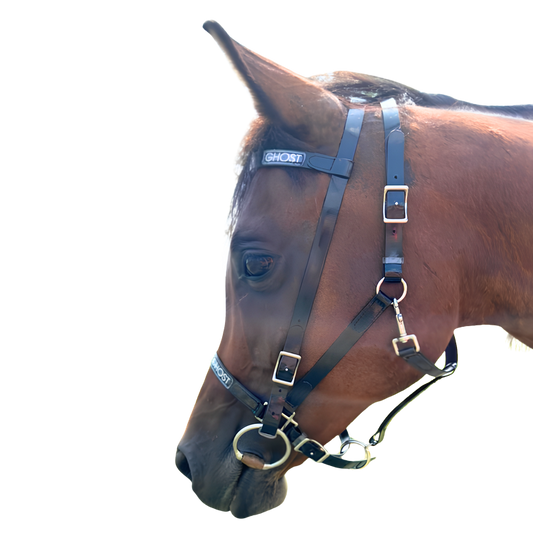 Endurance / Trail Bridle in Biothane® – Ghost Saddles