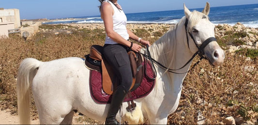 Ghost Torino Classic su Cavallo Arabo